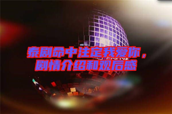 泰劇命中注定我愛你，劇情介紹和觀后感