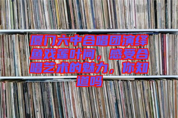 廈門六中合唱團演繹魚戲蓮葉間,感受合唱藝術的魅力,你知道嗎