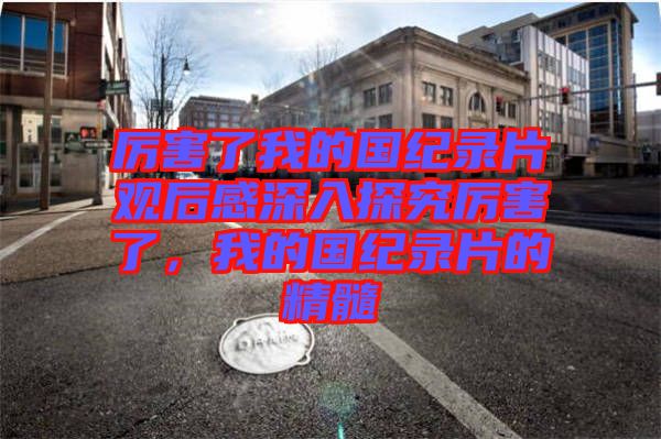 厲害了我的國紀(jì)錄片觀后感深入探究厲害了,我的國紀(jì)錄片的精髓