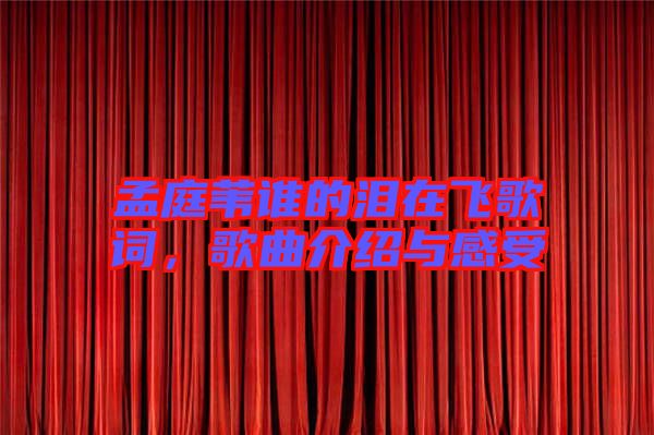 孟庭葦誰的淚在飛歌詞，歌曲介紹與感受