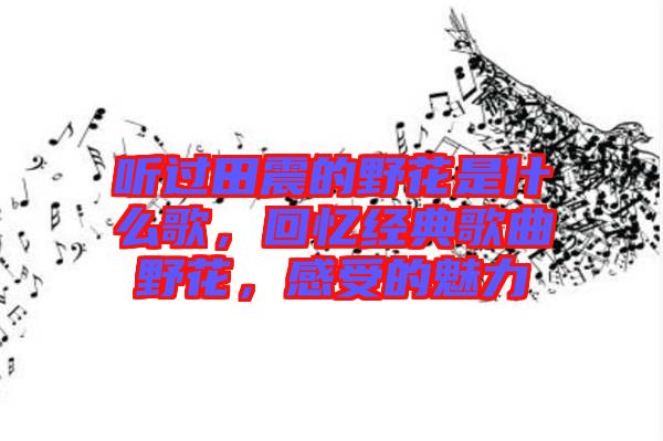 聽過田震的野花是什么歌，回憶經典歌曲野花，感受的魅力