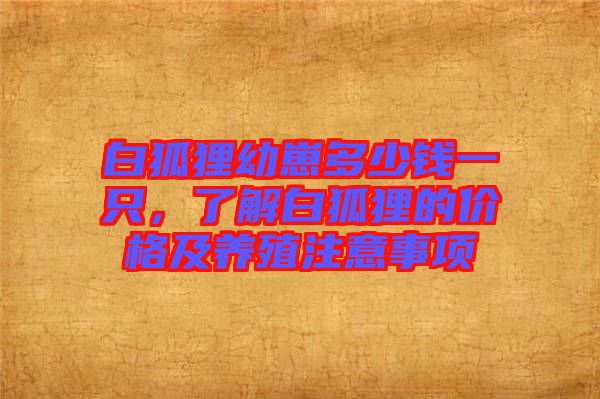 白狐貍幼崽多少錢一只，了解白狐貍的價格及養殖注意事項