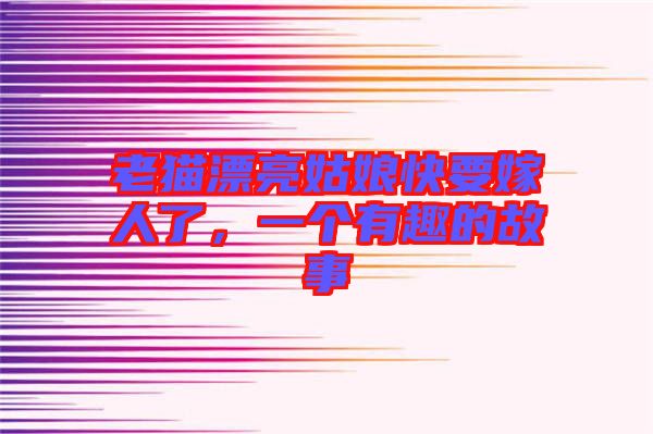 老貓漂亮姑娘快要嫁人了,一個有趣的故事
