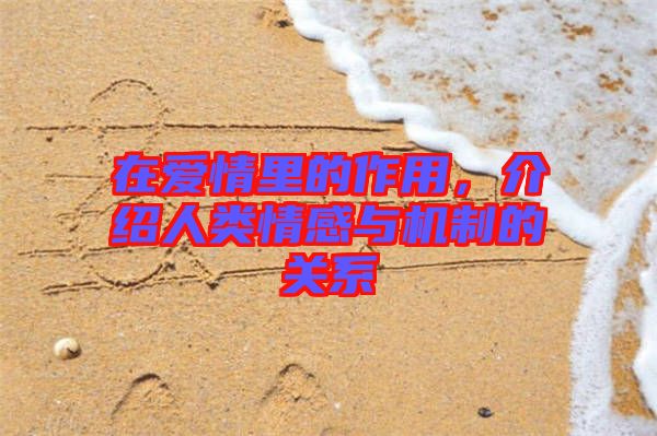 在愛情里的作用,介紹人類情感與機制的關(guān)系
