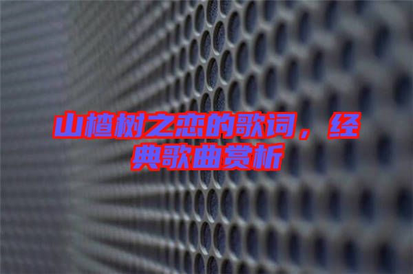 山楂樹之戀的歌詞，經典歌曲賞析