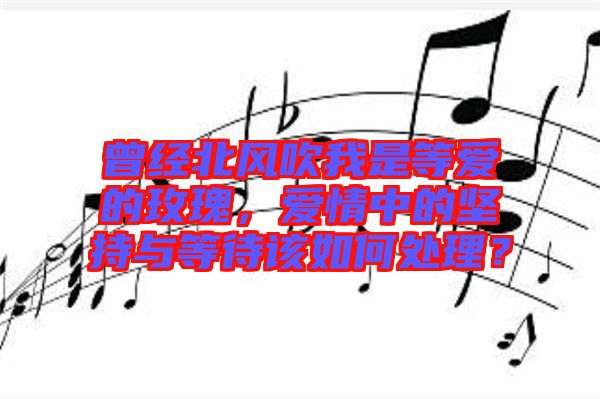 曾經北風吹我是等愛的玫瑰，愛情中的堅持與等待該如何處理？