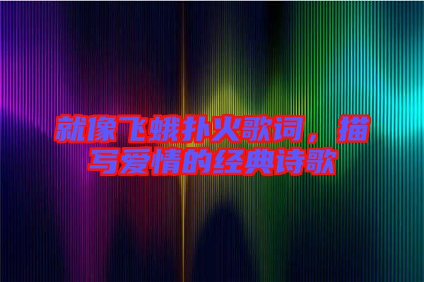 就像飛蛾撲火歌詞,描寫愛情的經(jīng)典詩歌