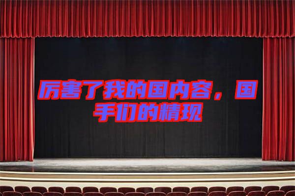 厲害了我的國內容,國手們的精現