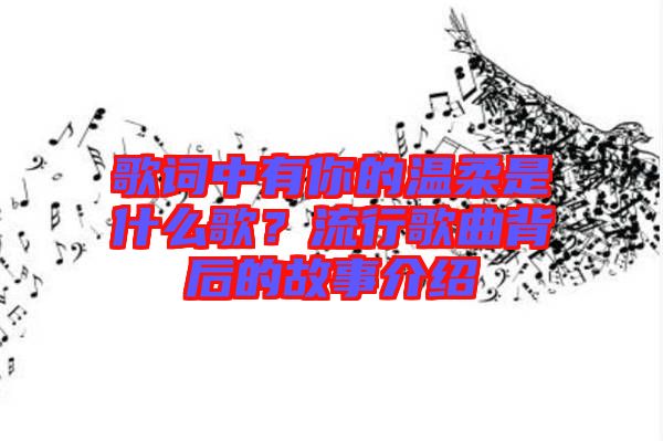 歌詞中有你的溫柔是什么歌？流行歌曲背后的故事介紹