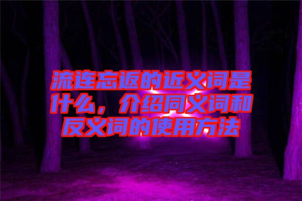 流連忘返的近義詞是什么,介紹同義詞和反義詞的使用方法