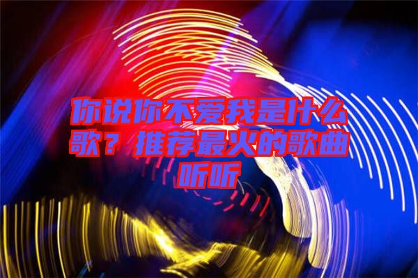 你說你不愛我是什么歌？推薦最火的歌曲聽聽