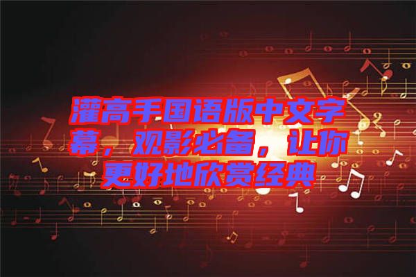 灌高手國語版中文字幕，觀影必備，讓你更好地欣賞經典