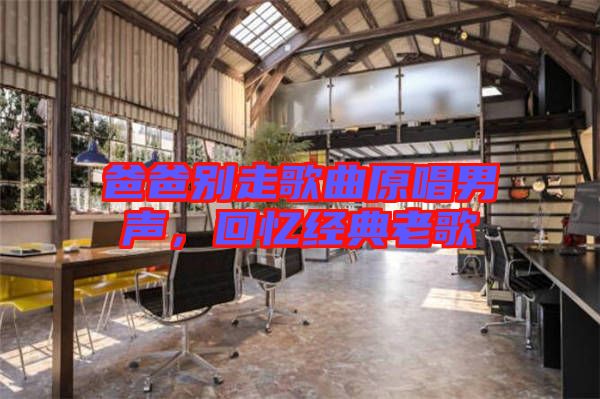 爸爸別走歌曲原唱男聲,回憶經典老歌