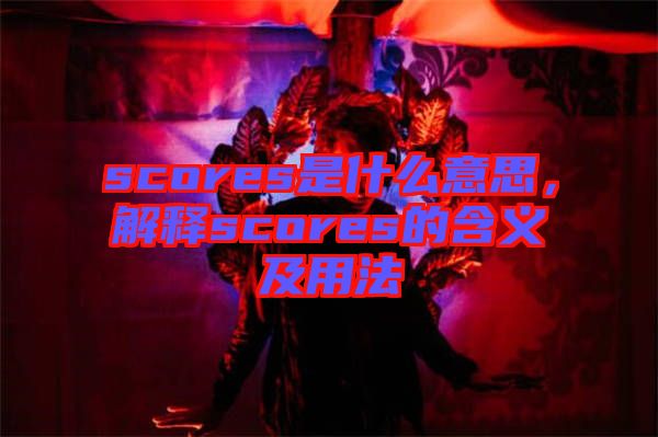scores是什么意思,解釋scores的含義及用法