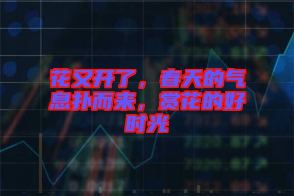 花又開了，春天的氣息撲而來，賞花的好時光