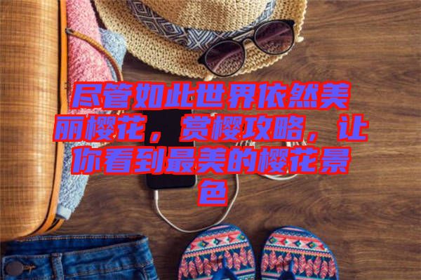 盡管如此世界依然美麗櫻花，賞櫻攻略，讓你看到最美的櫻花景色