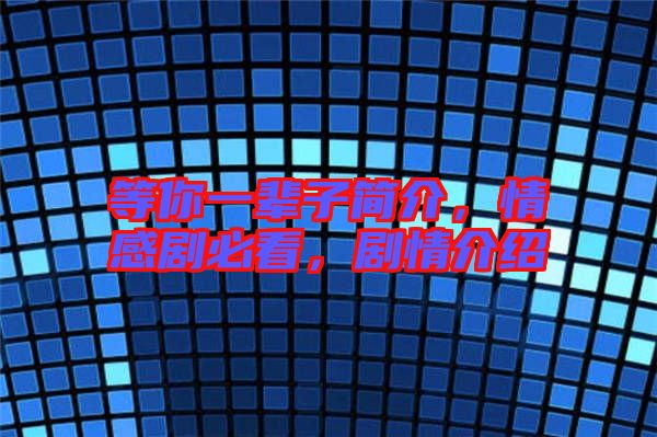 等你一輩子簡(jiǎn)介,情感劇必看,劇情介紹