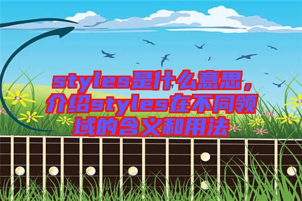 styles是什么意思，介紹styles在不同領(lǐng)域的含義和用法