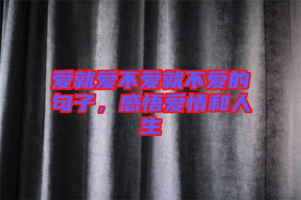 愛就愛不愛就不愛的句子，感悟愛情和人生