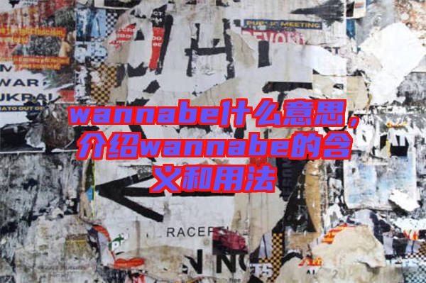 wannabe什么意思,介紹wannabe的含義和用法