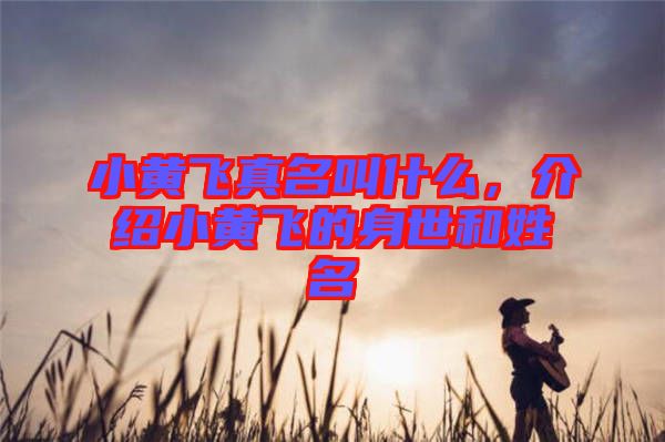 小黃飛真名叫什么，介紹小黃飛的身世和姓名