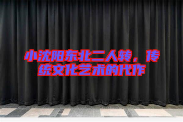 小沈陽東北二人轉(zhuǎn)，傳統(tǒng)文化藝術(shù)的代作
