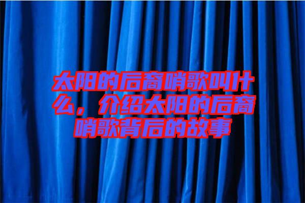 太陽的后裔哨歌叫什么,介紹太陽的后裔哨歌背后的故事