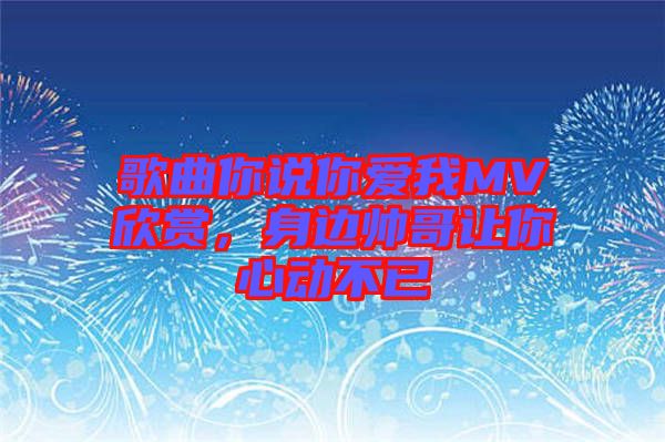 歌曲你說你愛我MV欣賞,身邊帥哥讓你心動不已