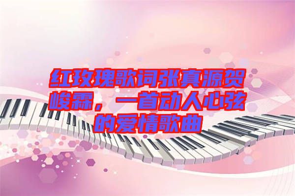 紅玫瑰歌詞張真源賀峻霖，一首動(dòng)人心弦的愛情歌曲