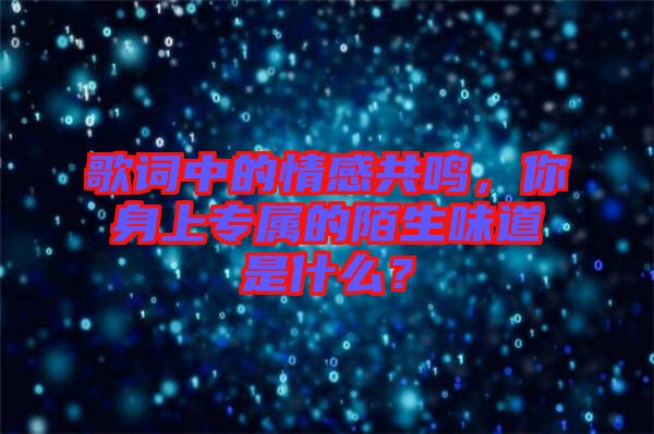 歌詞中的情感共鳴，你身上專屬的陌生味道是什么？