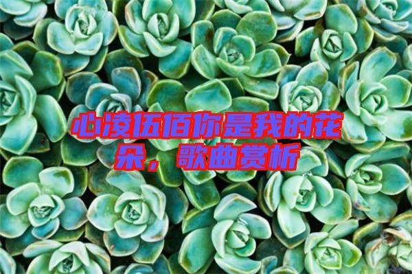 心凌伍佰你是我的花朵,歌曲賞析