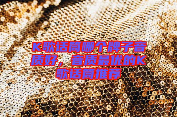 K歌話筒哪個牌子音質好,音質最優(yōu)的K歌話筒推薦