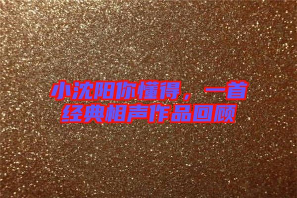 小沈陽你懂得,一首經(jīng)典相聲作品回顧