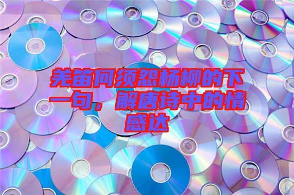 羌笛何須怨楊柳的下一句,解唐詩中的情感達