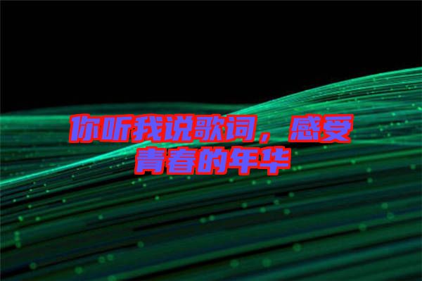 你聽我說歌詞，感受青春的年華