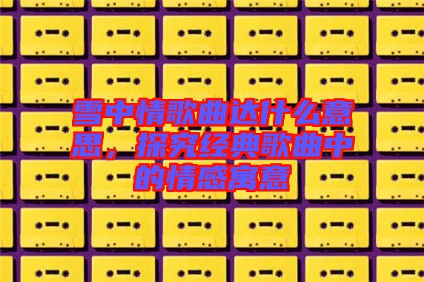 雪中情歌曲達(dá)什么意思，探究經(jīng)典歌曲中的情感寓意