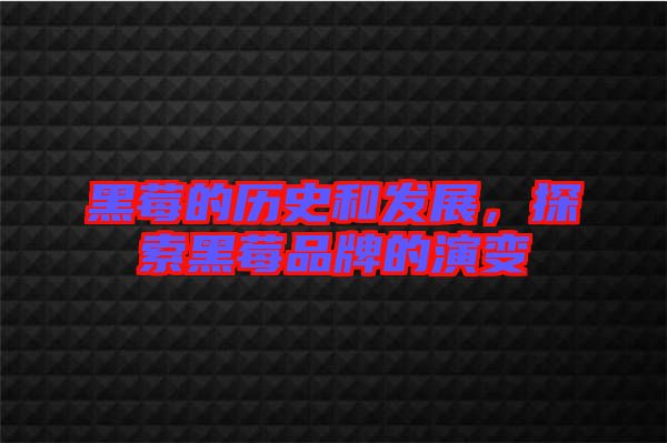 黑莓的歷史和發(fā)展，探索黑莓品牌的演變