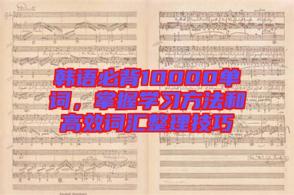 韓語必背10000單詞，掌握學(xué)習(xí)方法和高效詞匯整理技巧