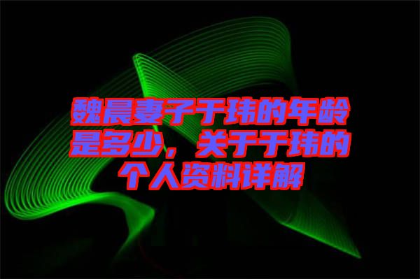 魏晨妻子于瑋的年齡是多少,關于于瑋的個人資料詳解
