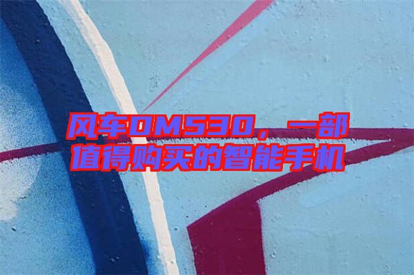風(fēng)車DM530，一部值得購買的智能手機