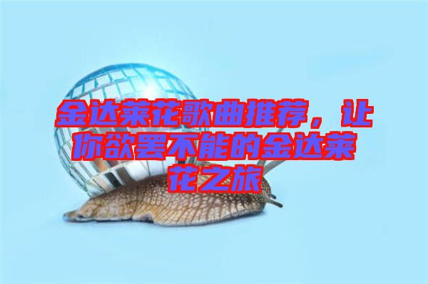 金達萊花歌曲推薦,讓你欲罷不能的金達萊花之旅