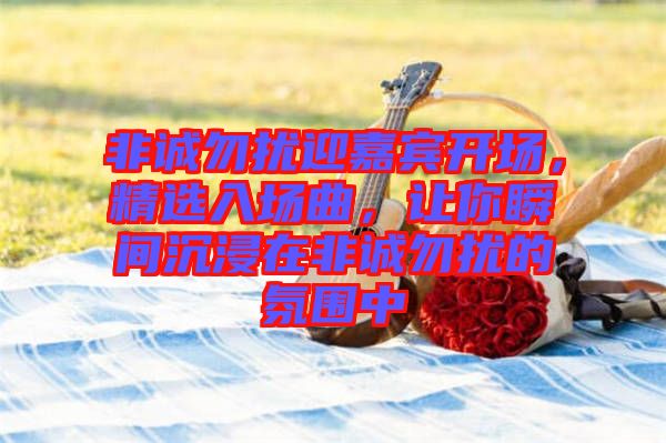 非誠勿擾迎嘉賓開場，精選入場曲，讓你瞬間沉浸在非誠勿擾的氛圍中