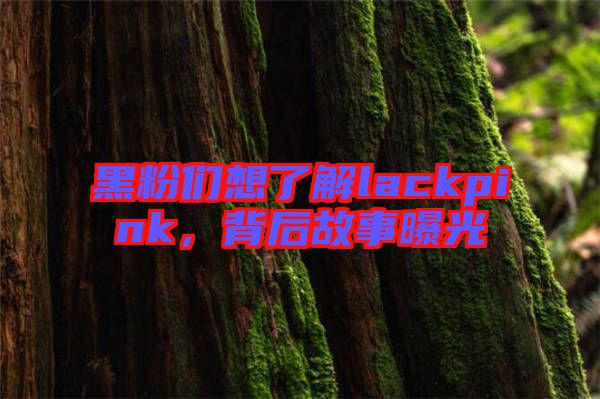 黑粉們想了解lackpink，背后故事曝光