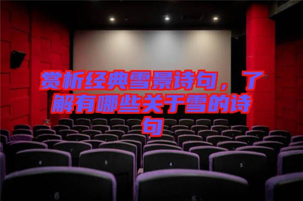 賞析經(jīng)典雪景詩句,了解有哪些關于雪的詩句