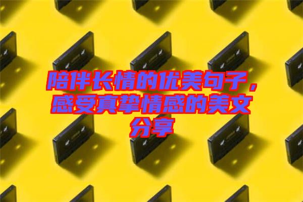 陪伴長情的優美句子,感受真摯情感的美文分享