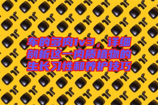 車的多肉1v3，詳細剖析這一肉質植物的生長習性和養護技巧
