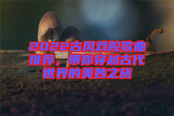 2022古風(fēng)戲腔歌曲推薦,帶你穿越古代世界的美妙之旅