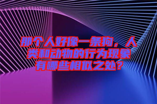 那個人好像一條狗，人類和動物的行為現象有哪些相似之處？