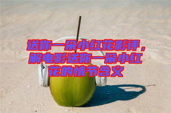 送你一朵小紅花影評，解電影送你一朵小紅花的情節含義