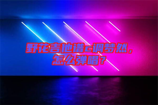 野花吉他譜c調(diào)夢(mèng)然,怎么彈唱?